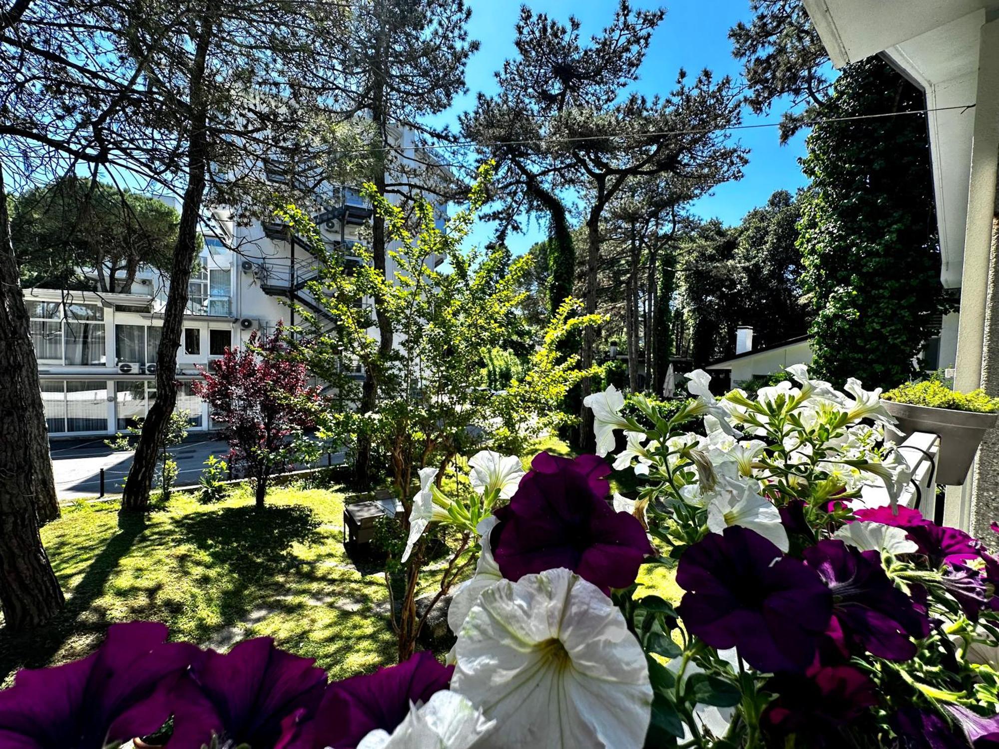 Villa Greif Pineta Ліньяно-Сабб'ядоро Екстер'єр фото